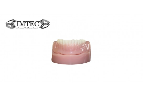 IMTEC Patient Demo Model (denture)